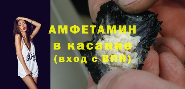 прущие грибы Иннополис