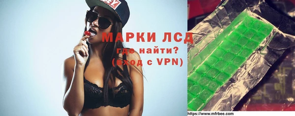 прущие грибы Иннополис