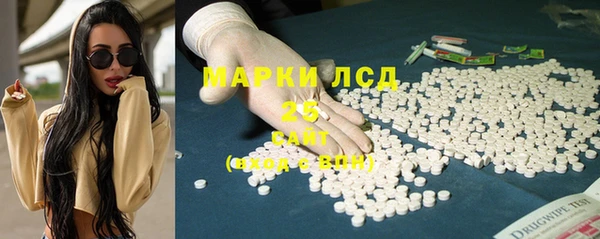 прущие грибы Иннополис