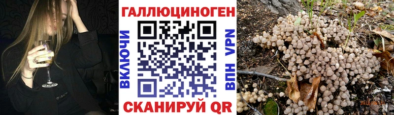 Галлюциногенные грибы ЛСД где продают Тутаев