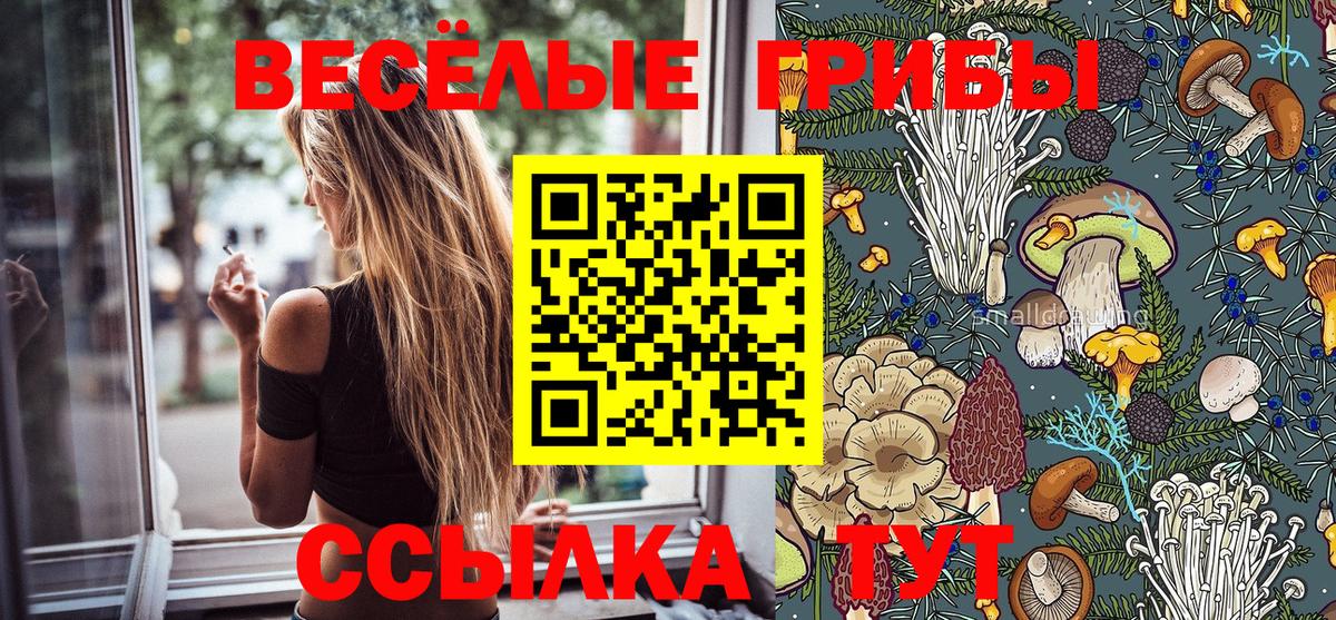 Псилоцибиновые грибы прущие грибы Тутаев