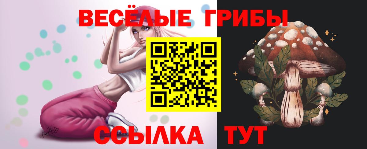Галлюциногенные грибы Cubensis  Вход с VPN  Тутаев 